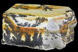 Dendrites On Limestone - Utah #150467-2